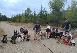 appreciation de mme pictorio - photo de groupe
